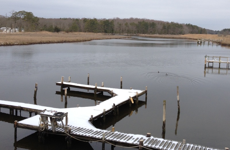 Gov. Markell introduced a clean water initiative on March 4 that would pay for roughly $800 million worth of wastewater, stormwater and drinking water projects throughout the state by instituting a clean water fee. The plan is clean the state's impaired waters, like Love Creek, shown here at the Route 24 bridge, in Sussex County. BY CHRIS FLOOD